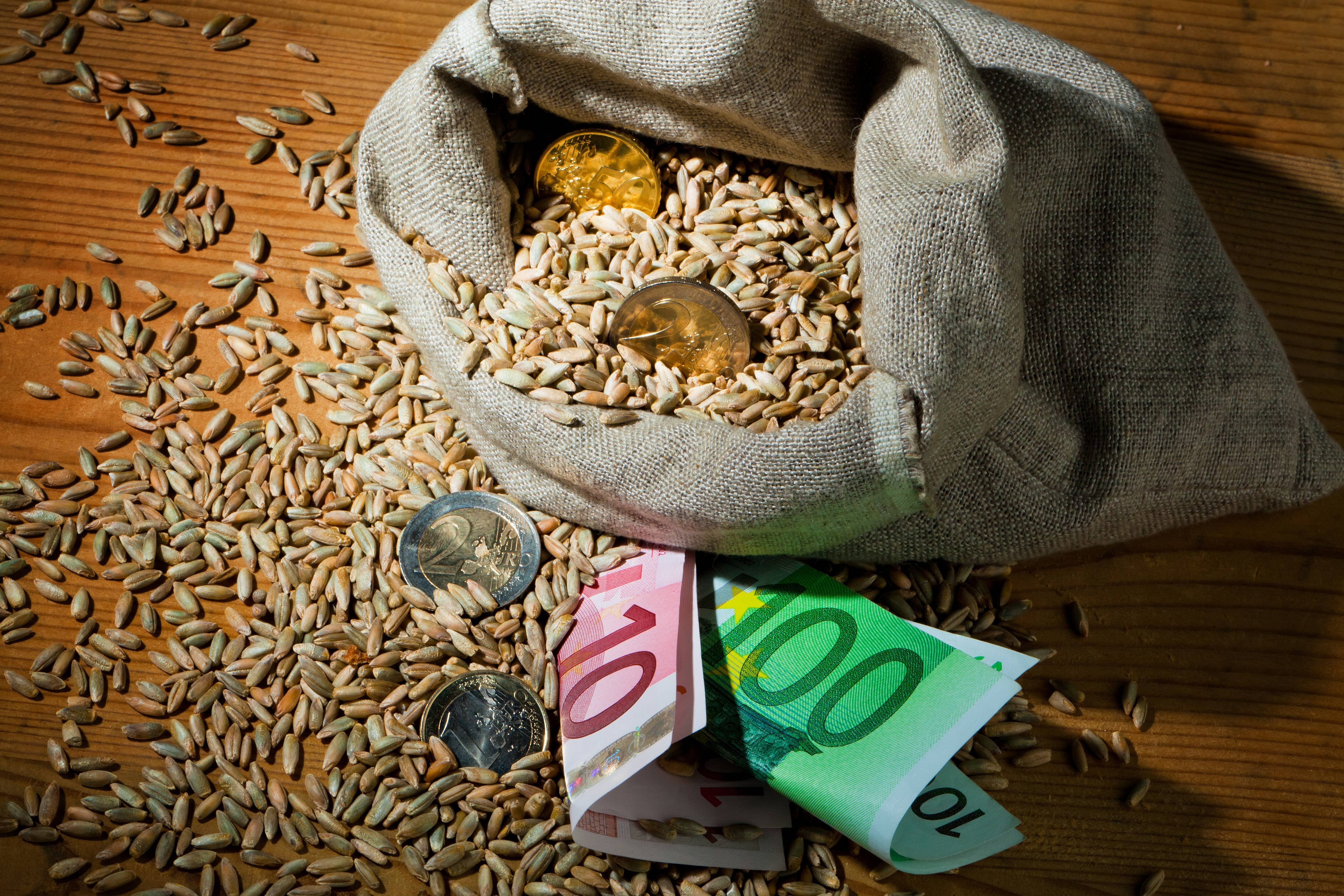 Rente für Landwirtinnen Ein Sack mit Getreidekörnern, darin liegen Münzen und zwei gefaltete Geldscheine als Symbol für die Alterssicherung der Landwirte